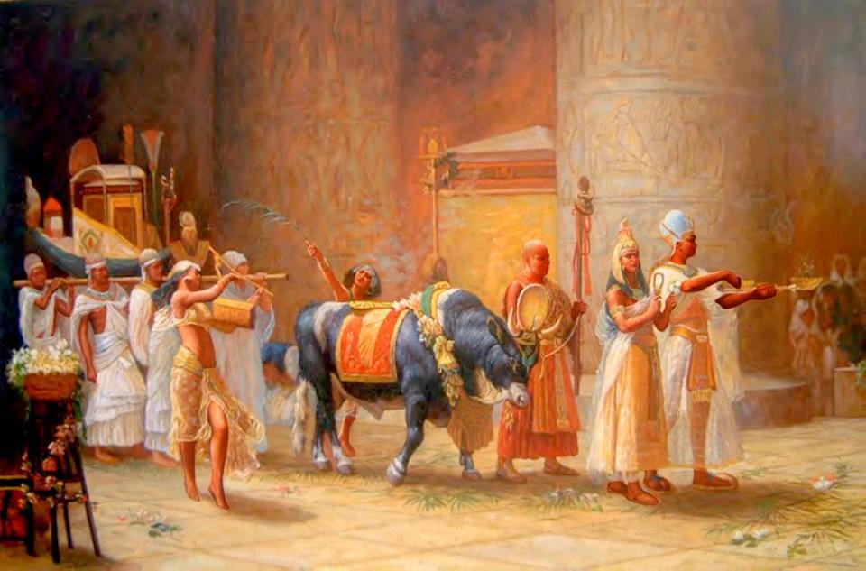 308309_264645133569005_115231721843681_857690_281281583_n